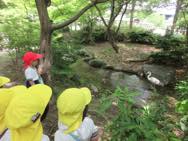 遠足 梅小路公園(年少)
