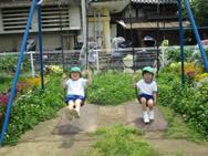 ひかり