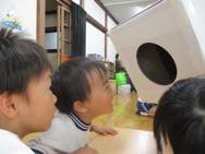 科学タイム(年長)