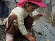 スポーツデーごっこ