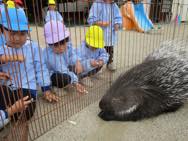 ふれあい動物園