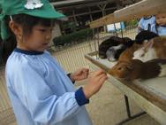 ふれあい動物園