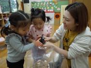 ���̂��͔|