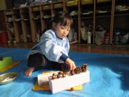 ����W�Ɍ�����