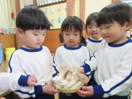 �~�j�N�b�L���O(�ڂ݁E�Ђ���)