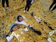 �����t������