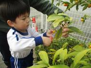 ���񂩂�Ƃ�