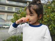 ���񂩂�Ƃ�